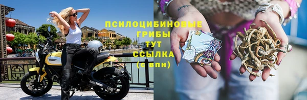 бошки Покачи