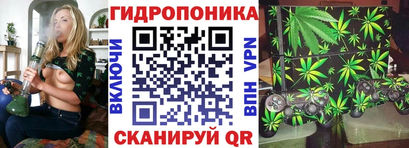 Марихуана сатива  как найти наркотики  гидра как зайти  Тольятти 